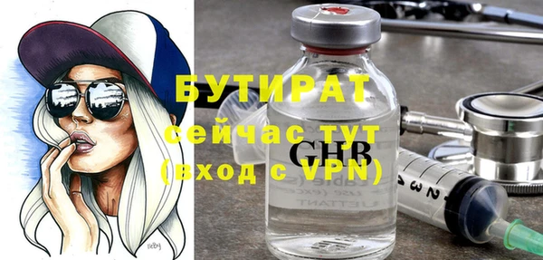 гидра Краснослободск