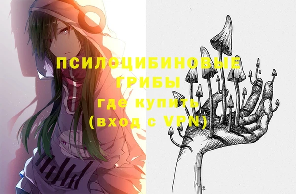 гидра Краснослободск