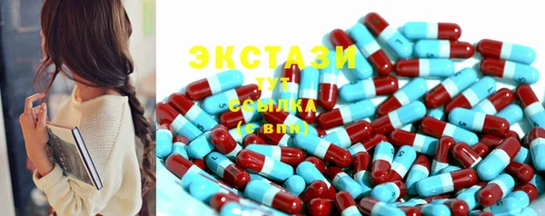 гидра Краснослободск