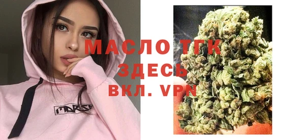 гидра Краснослободск