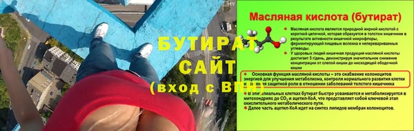 гидра Краснослободск